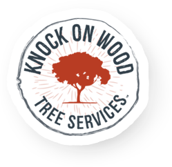knock on wood tree services franklin tn