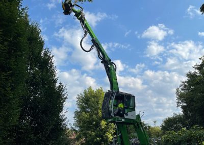 crane tree removal in franklin & brentwood, tn