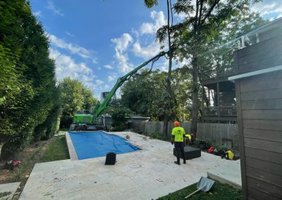 tree removal and landscaping