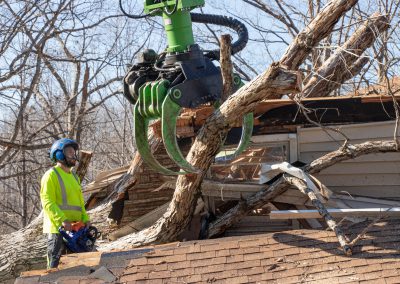storm damage tree removal