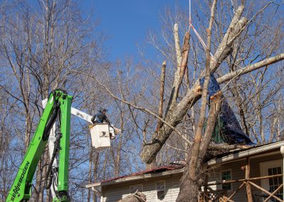 storm damage tree removal in franklin & brentwood, tn